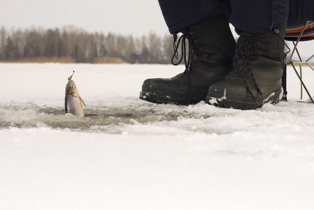 Best Ice Fishing Boots